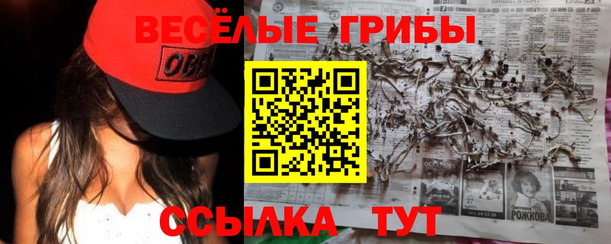 Псилоцибиновые грибы Psilocybe  Вход с VPN  Рязань 